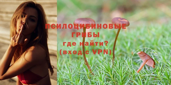 a pvp Мегион