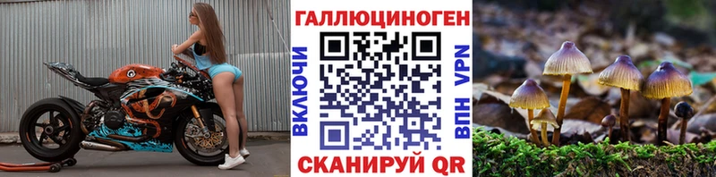 Галлюциногенные грибы Magic Shrooms  Томмот 